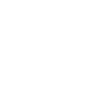 detox icon